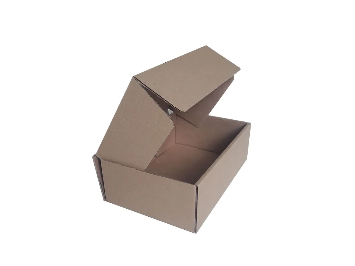 Caixa de Papelão – 17 × 11 × 2,5 cm – 50 unidades