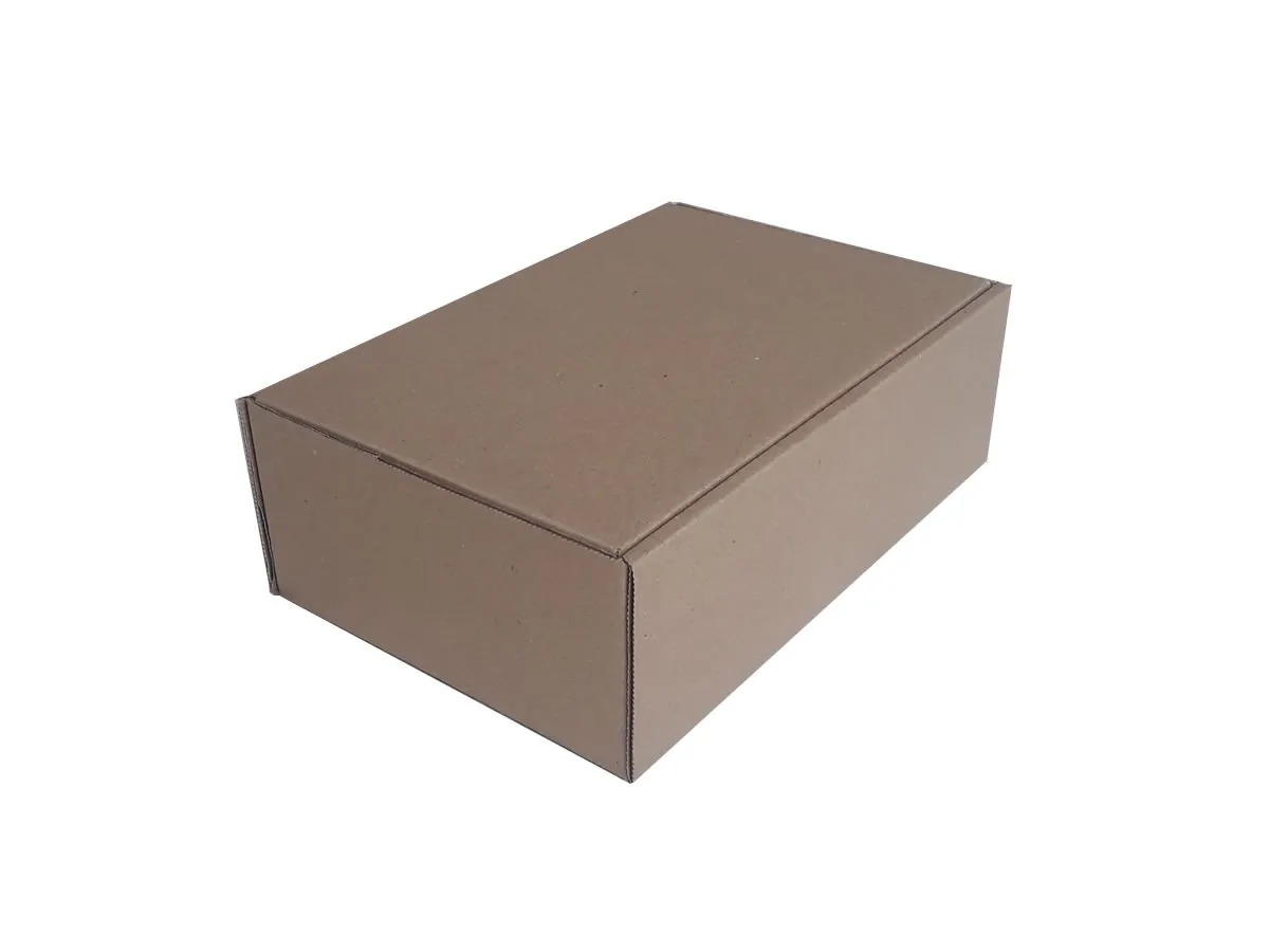 Caixa de Papelão – 17 × 11 × 2,5 cm – 50 unidades - Imagem 2